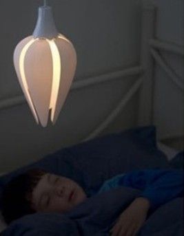 ���ػ������