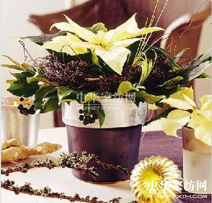 2012���ꄓ(chu��ng)��Ҿ��҃�(n��i)ֲ���b�