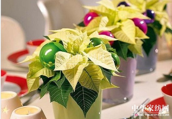 2012���ꄓ(chu��ng)��Ҿ��҃�(n��i)ֲ���b�