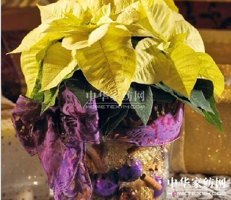 2012���ꄓ��Ҿ��҃�ֲ���b�