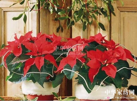 2012���ꄓ(chu��ng)��Ҿ��҃�ֲ���b�