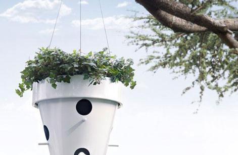 �r���³�����������������