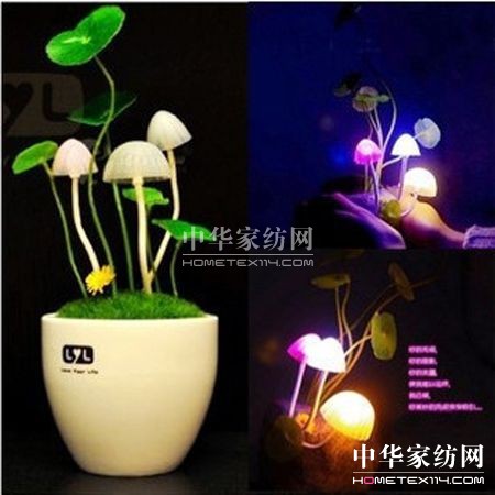 �ɐ�Сҹ���c���Ҿ�����(�M�D)