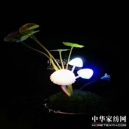 �ɐ�Сҹ���c���Ҿ�����(�M�D)