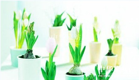 �Ҿ��Ʒ���_���r�мҾ��ǹ�ϵ