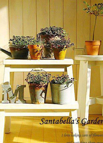 5����g��ľGֲ���䷨