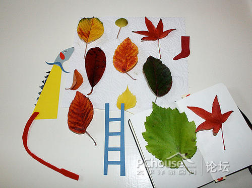 ������Ҿӡ��������ҡ�