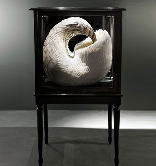 �������}����ϵ����ë����