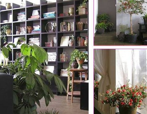 ����Ҳ����׿��Ȼ��ͬ�ĕ����OӋ