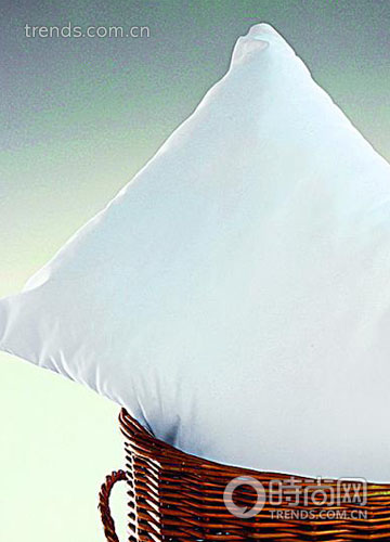 綠色植物裝扮樂活生活