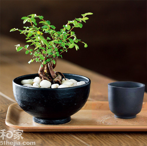 ��s��Ȼ�ڷ���DIY����С����