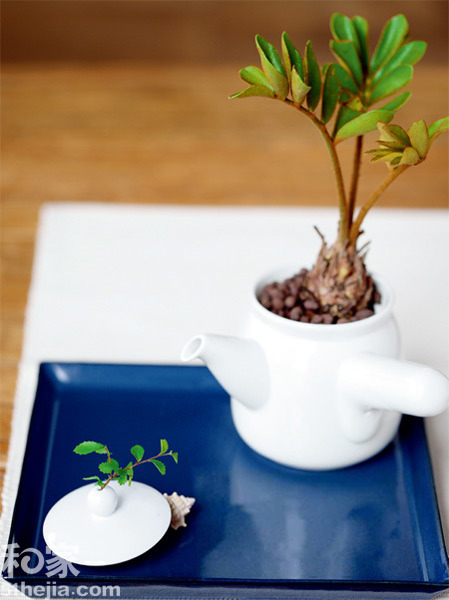 ��s��Ȼ�ڷ���DIY����С����