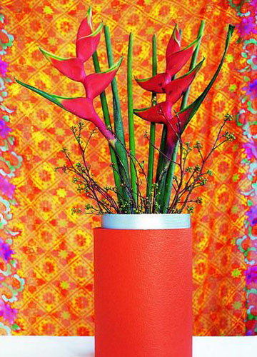 ���ⰻȻ�_���r���b�