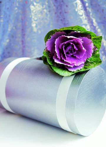 ���ⰻȻ�_���r���b�