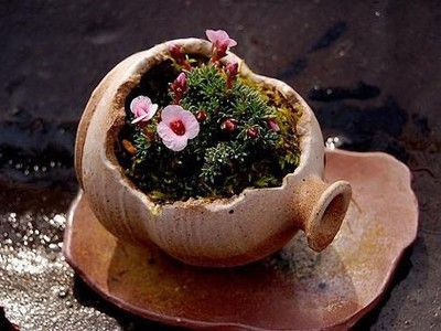 �����ݲ݄�(chu��ng)��ˇ�g(sh��)�ƷDIY