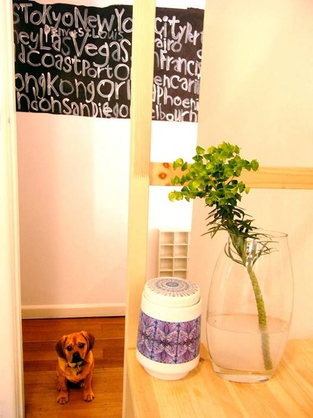 �OӋ��CassiePotts��ˇ�g��