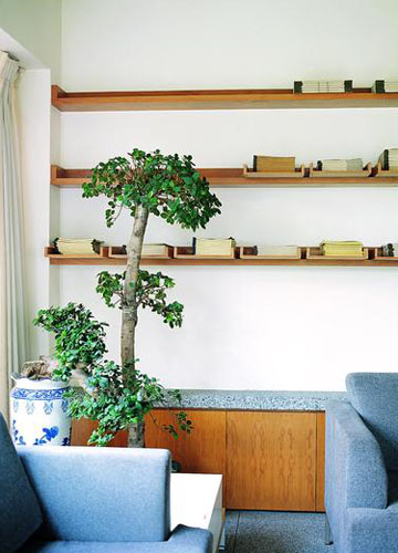 �����T�ڕ������Z