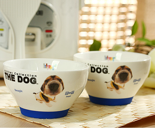 ���ȵďN���;ߢ�