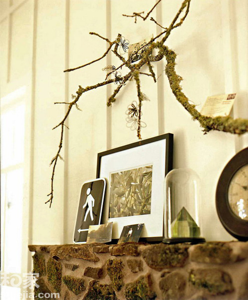 �Ø�֦���[���bɭ��ϵ֮��(һ)