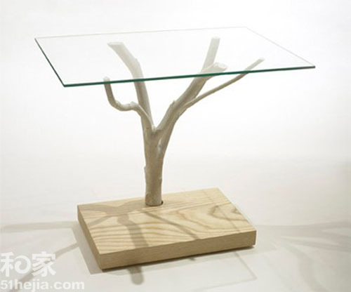 12����ľ�Ҿ�(��)