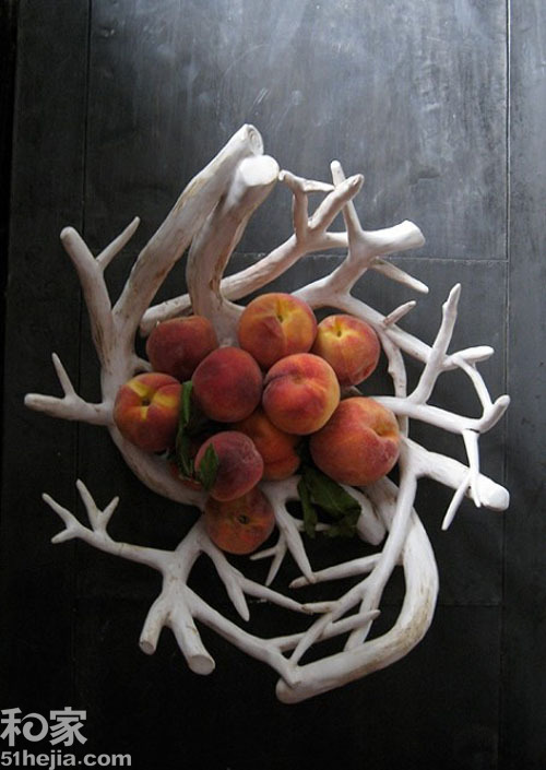 12����ľ�Ҿ�(��)