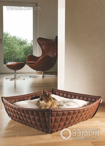 愛生活愛貓咪打造貓咪友好的居住空間(上)