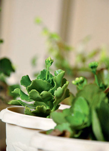 �r���������¼Ҿӭh��