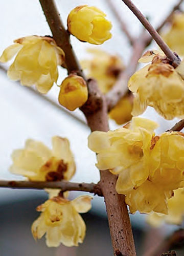 �r���������¼Ҿӭh��