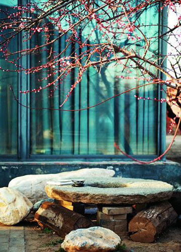 王迦南的心靈桃源