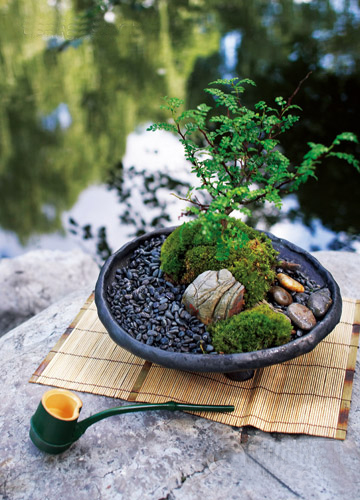 �U�������o������