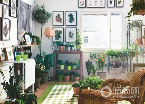 ���Ł��˄e��(d��n)���p�������ӡ���