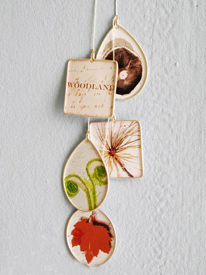 �H����Ȼԭɫ����(1)