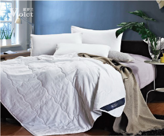 紫羅蘭清新夏夜 馨香纏綿