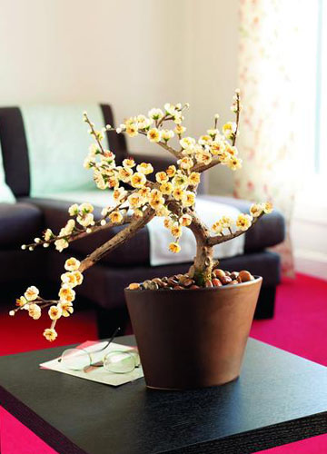 �ŵ��Ї��L�|�����Ƕ�