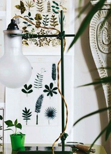 �Gɫ�y�c�����¼Ҿ�