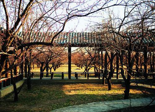 ������������Դ�Ř�����(��)