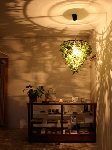 16��������r�������ֵ���(��)