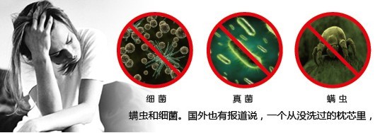 紫羅蘭生機家紡—獻禮世界過敏性疾病日