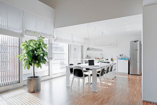 �_��������g������e��LOFT(��)