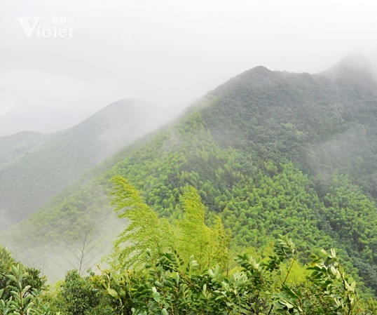 ���_�m�Ј�����ɽ��չ���������ŗ��ĈF꠾���