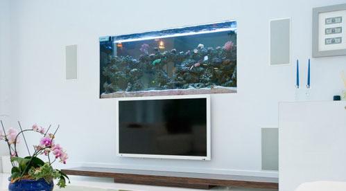 15���ҕ�������OӋ���p