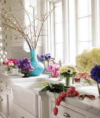 ������Ů��ɫ�N���M�@�����L��