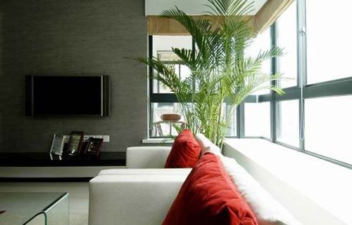 �S�Ե�����Ů138ƽ�F(xi��n)�����s���ż�