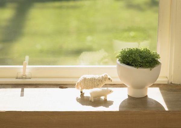 �G�ⰻȻ15��ֲ���b�����