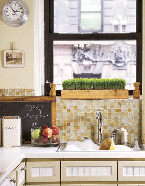 �G�ⰻȻ15��(g��)ֲ���b���(chu��ng)��