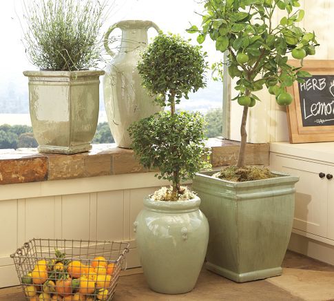 �G�ⰻȻ15��ֲ���b�����