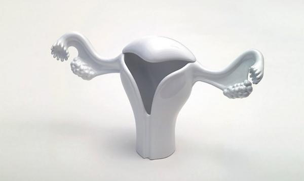 ��ƿҲ�u��22��⻨ƿ�OӋ(��)