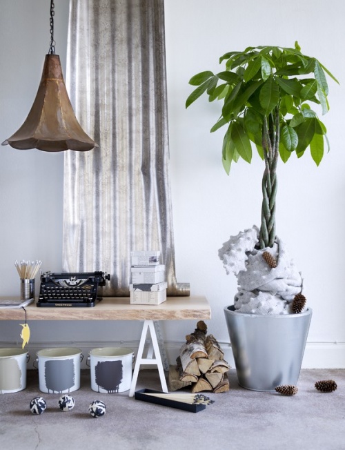 �Ҿ�С�ƷС���ǼҵĪ����Lò