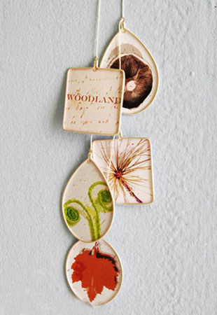 ����ԭľ�Ҿ�С��o�����혷Ȥ