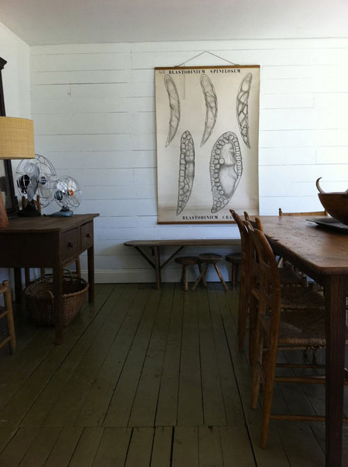 ԭʼ�������ӡ�ڰ�����Miguel���¼�